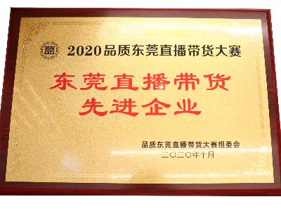 广东尊龙凯时有限公司荣获东莞直播带货先进企业